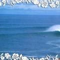 Il Paradiso dei surfisti
